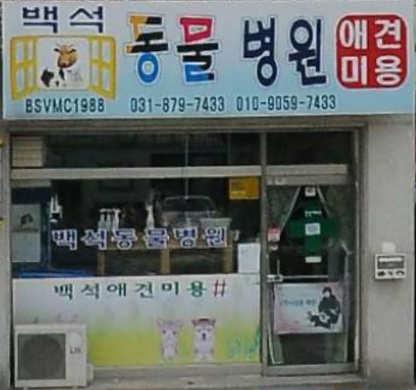 백석동물병원.png