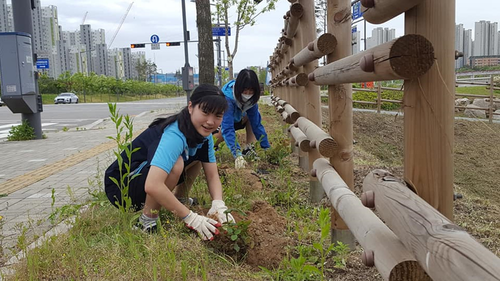 190518 소확행-환경(회천4동 장미꽃심기) (5).jpg