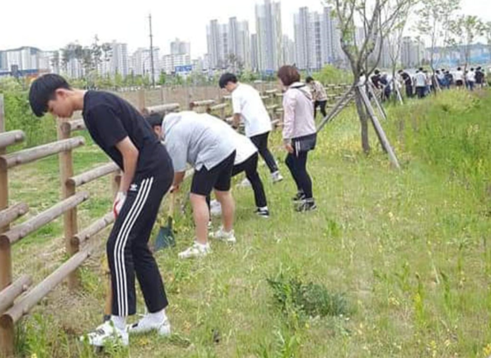190518 소확행-환경(회천4동 장미꽃심기) (8).jpg