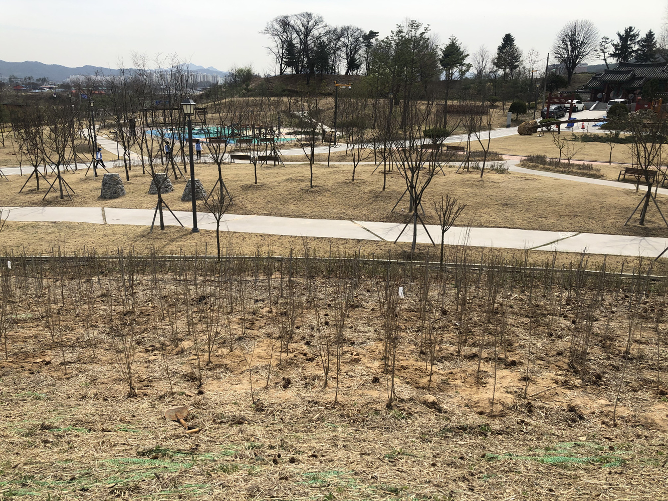190416 소확행(환경프로젝트)-미세먼지리프레쉬 (2).jpg