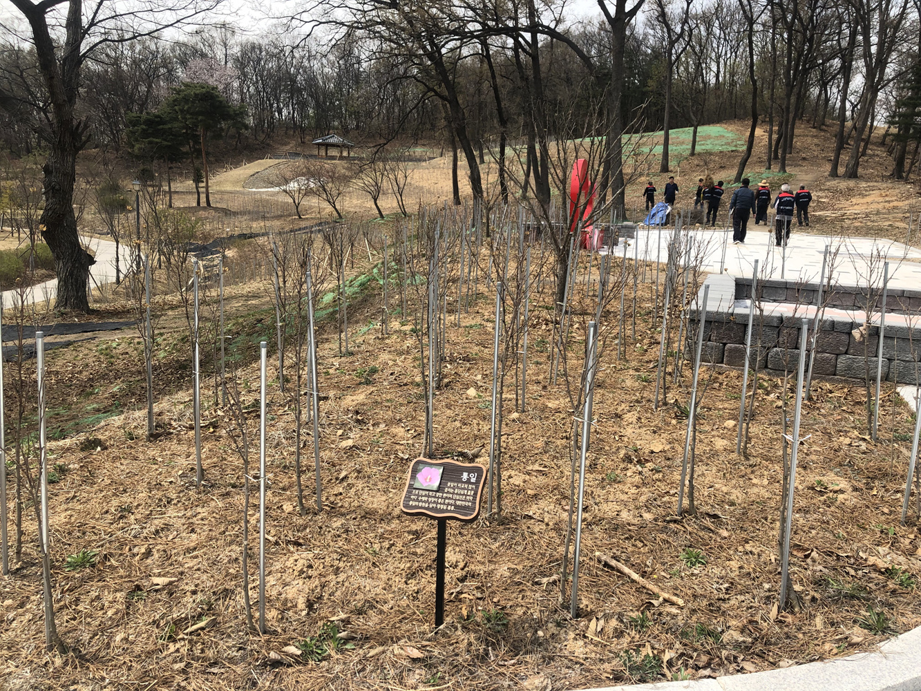 190416 소확행(환경프로젝트)-미세먼지리프레쉬 (5).jpg