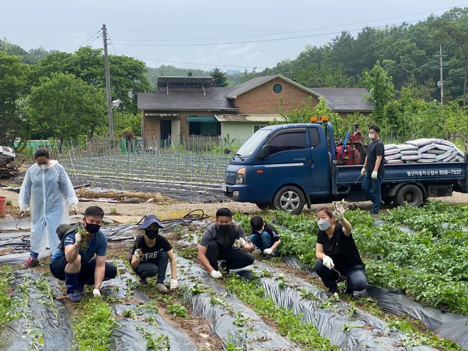 210515 가족봉사단연합고구마심기 (1).jpg