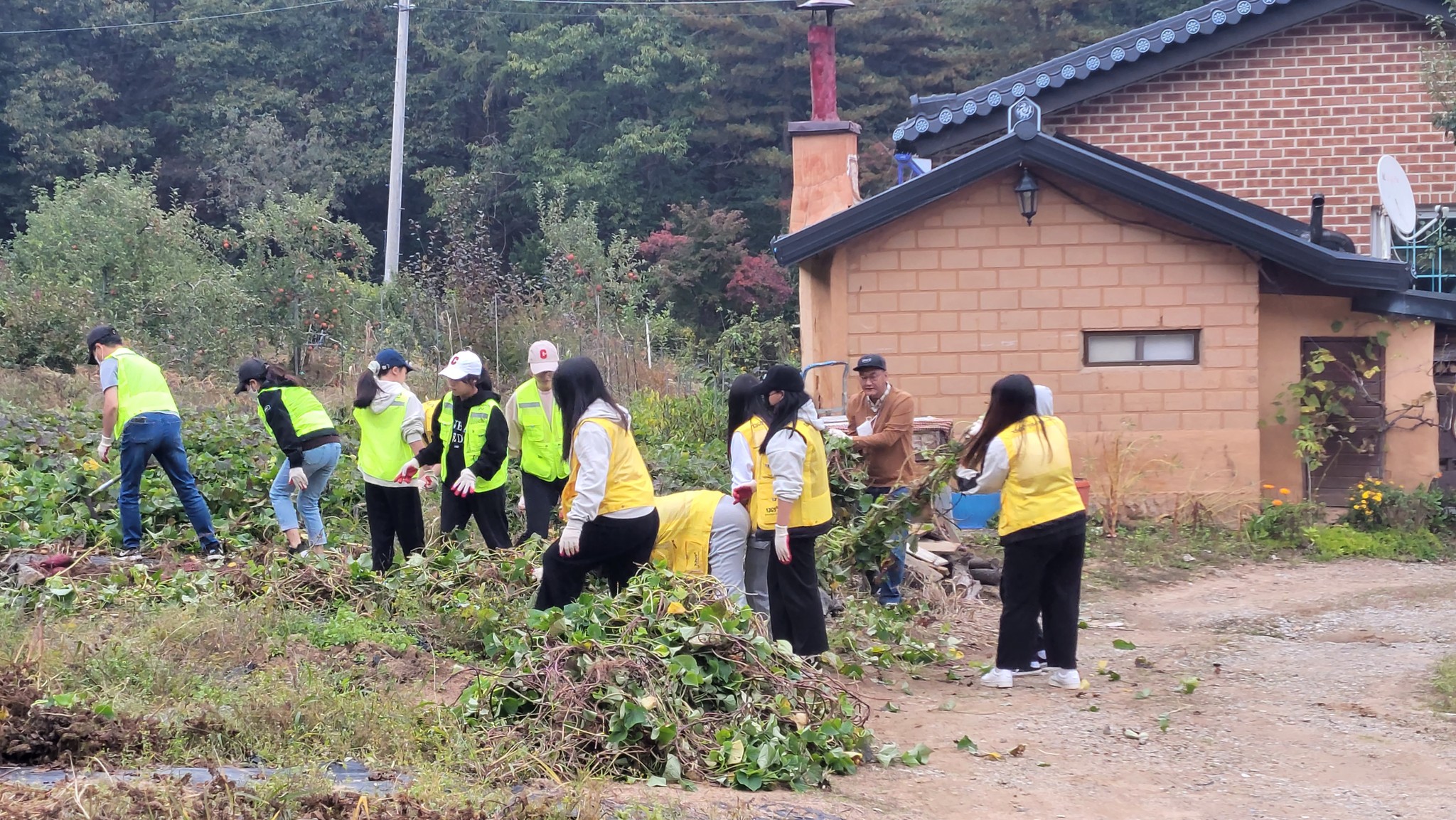 221016 가족봉사단연합사랑나눔고구마수확 (3).jpg