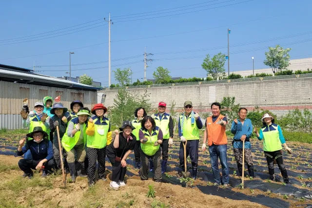 BandiView_BandiView_230513 그루터기봉사회 고구마심기 (2).jpg