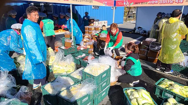 BandiView_BandiView_231108 양주시 사랑의김장나눔축제 (12).jpg