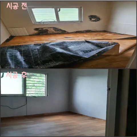 BandiView_BandiView_240927 집수리봉사활동 (3).jpg